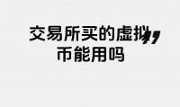 虚拟货币转币(除了比特币还有什么虚拟货币)