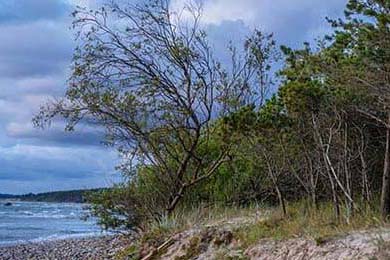 货币贬值、民众抗议、美国施压下的伊朗，正在经历着什么｜907编辑部