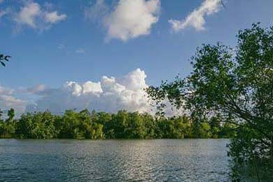 德国给中国打来求助电话，中方已经给出主意，就看柏林怎么表现！