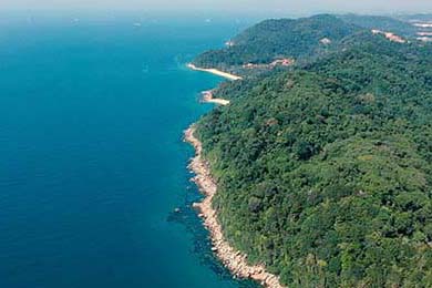 货币基金的收益来源主要是什么？