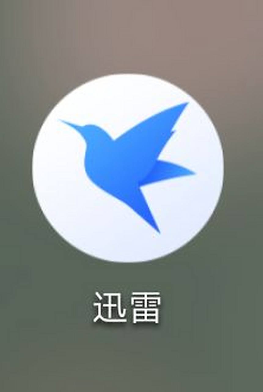 迅雷虚拟币(迅雷币什么价格)