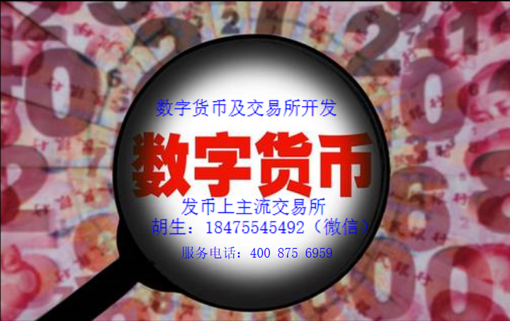 虚拟币众筹平台(虚拟币众筹平台有哪些)