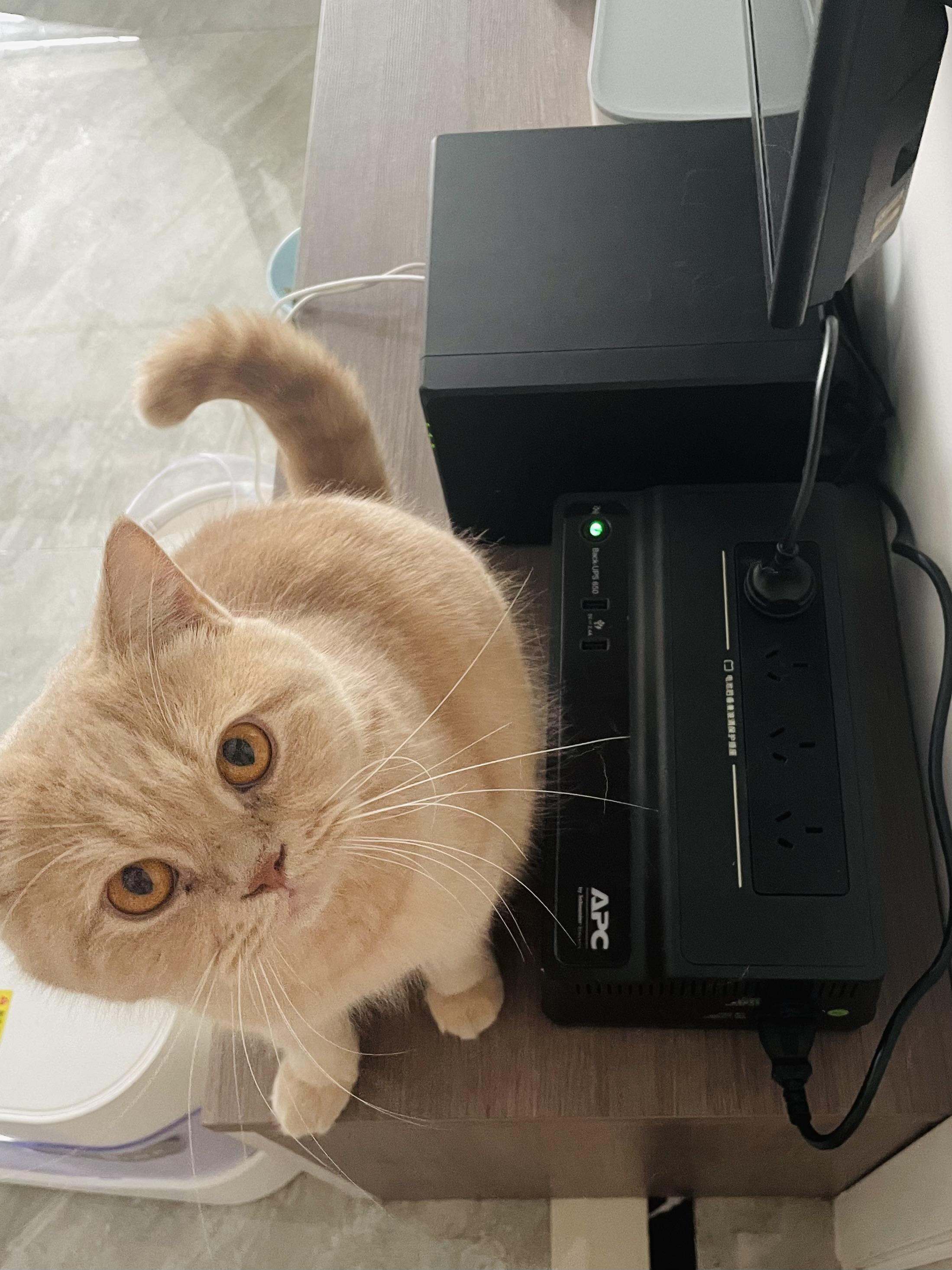 虚拟币老猫(虚拟币luna) 虚拟币老猫(虚拟币luna)